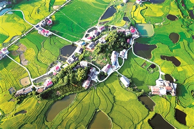 2021年8月20日，俯瞰湖南省娄底市双峰县井字镇花山村，硬化后的公路到组到户，持续拓展的交通扶贫成果同乡村振兴有效衔接，不断带动壮大农村集体经济，促进农业增效、农民增收。（图片来源：视觉中国）