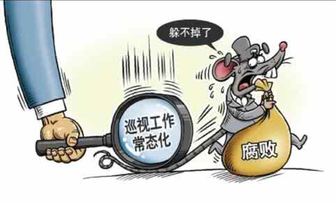 党内监督：巡视“利剑”展锋芒（砥砺奋进的五年）
