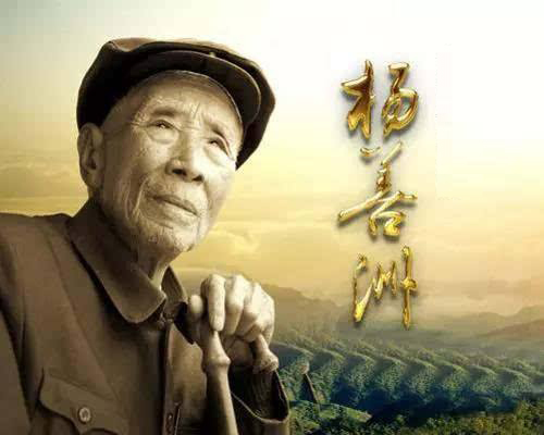 杨善洲