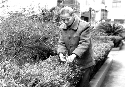 图为孙圣轩在医院宿舍小区修剪花草。