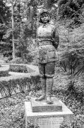 伍若兰-芬芳不谢井冈兰