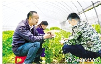 范小敏用短短一年多的时间,带领贫困村成功脱贫“摘帽”