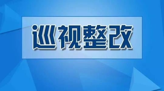 新华社:开展深化巡视"回头看"整改工作