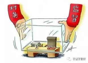 云南:持续推进村务监督委员会明责履责