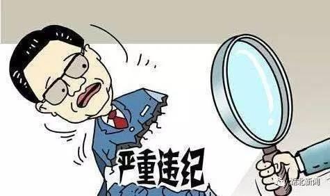 四川省雷波县溪洛米乡原乡长冯莹盈案件警示录