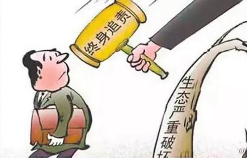 对重大典型案件直查督办到底