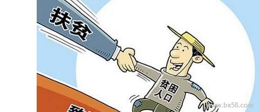 一万多只鸡苗去哪儿了——脱贫攻坚战