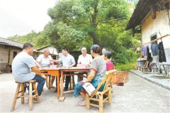 一张假发票的“闯关”历程