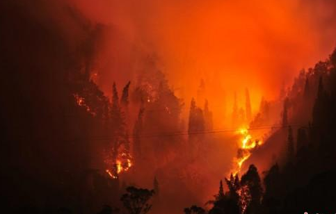 评论 | 将生命融进祖国的山河