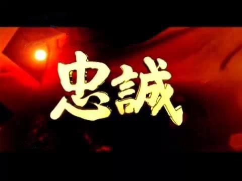 如实报告见忠诚