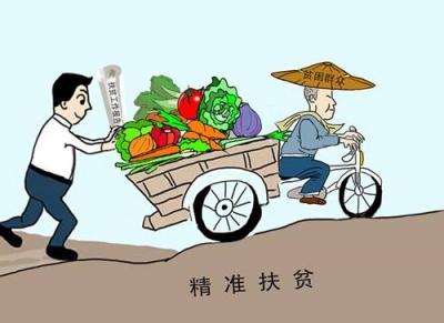 躺在帮扶手册上的扶贫