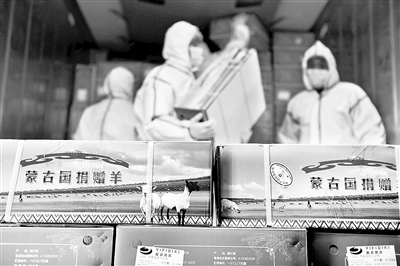 日前,首批已加工蒙古国捐赠羊开始运往湖北,图为工作人员在集装箱冷链车前忙碌。新华社记者 刘磊 摄